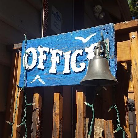 Bluebird Cottage Inn Idyllwild Εξωτερικό φωτογραφία
